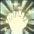 Divine Will